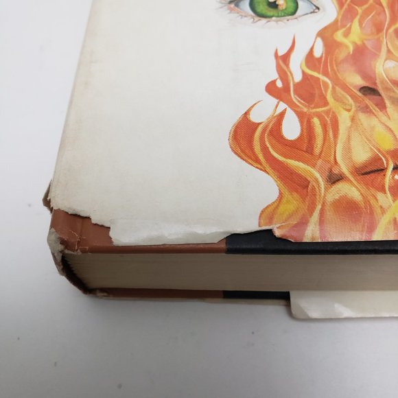 Stephen King Firestarter Book 1980 - Picture 2 of 11